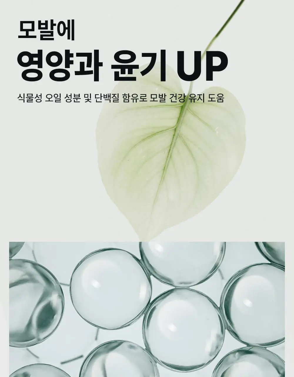 [변우석 Pick]다슈 데일리 볼륨업 컬크림 더블 기획 (150ml+150ml) 상세페이지 14